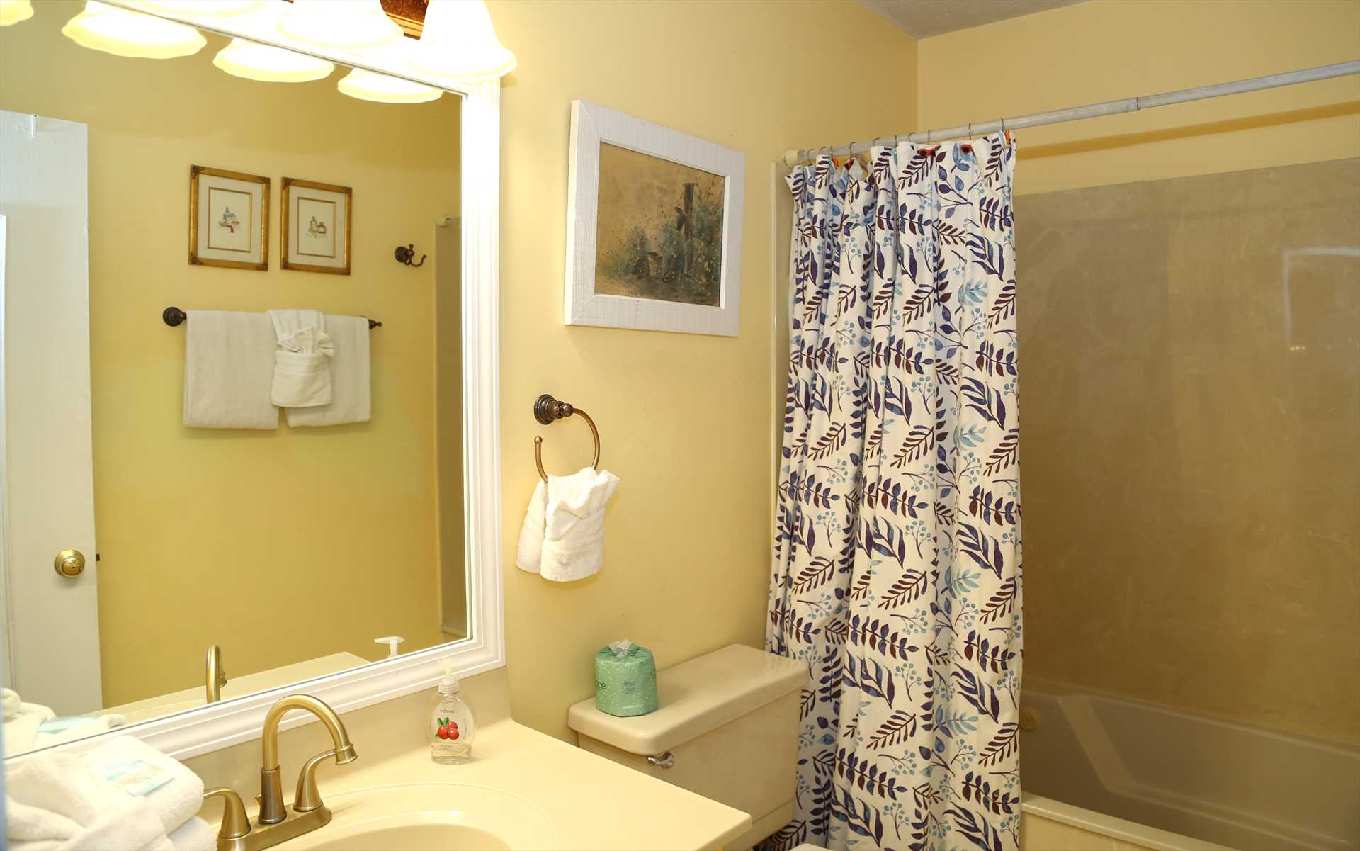 Hall bathroom with tub/shower