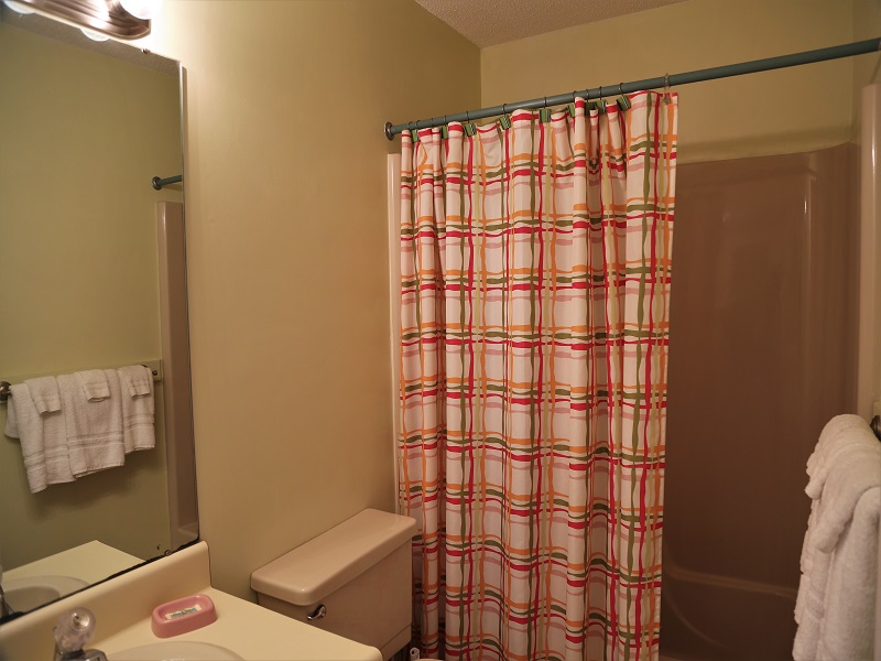 Hall bathroom - shower/tub combo