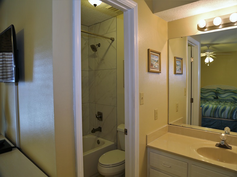 Master bath - shower/tub combo with vanity
