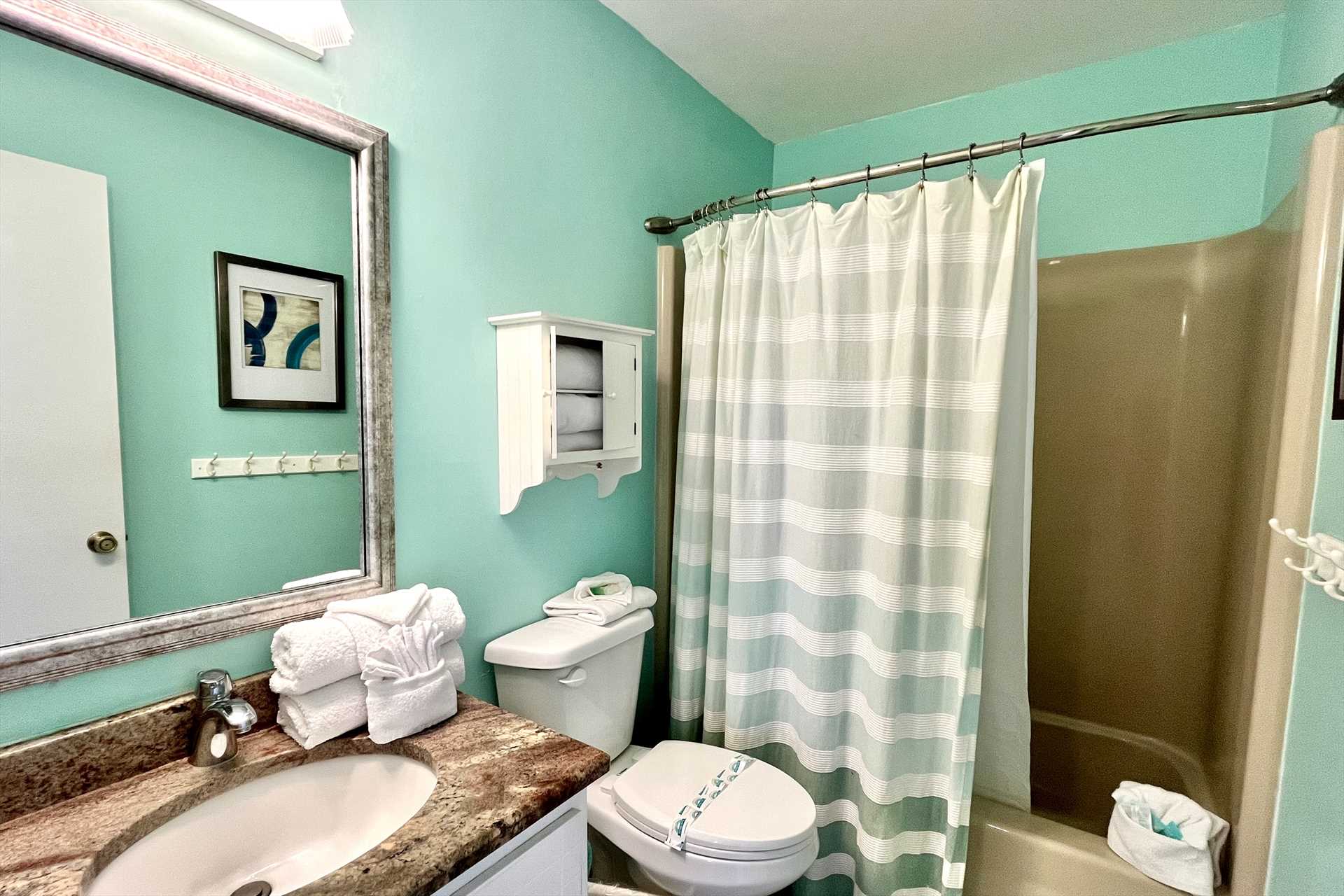 Hall bathroom - shower/tub combo