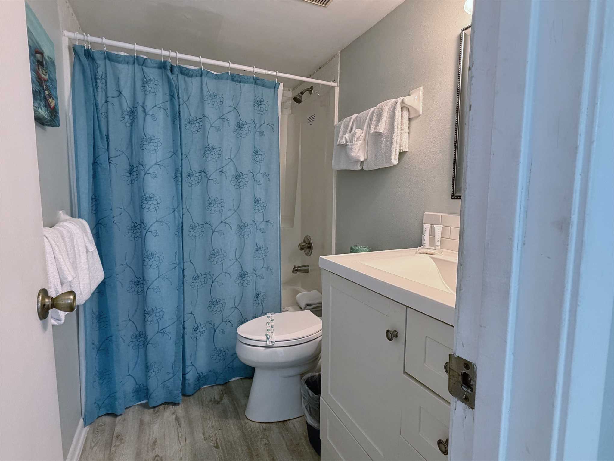 The hall bathroom - shower/tub combo.