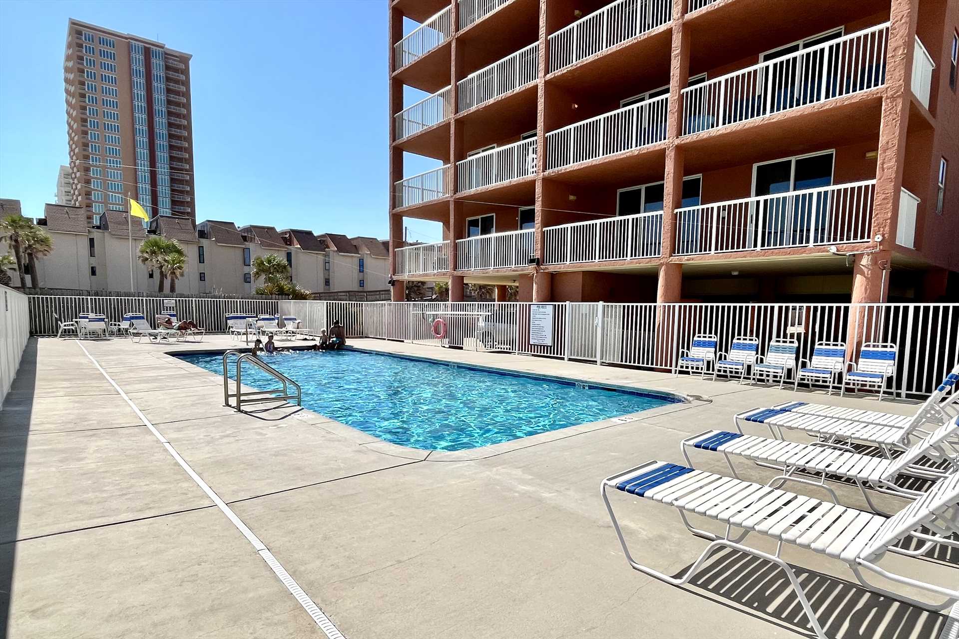 Beachfront pool deck with loungers.