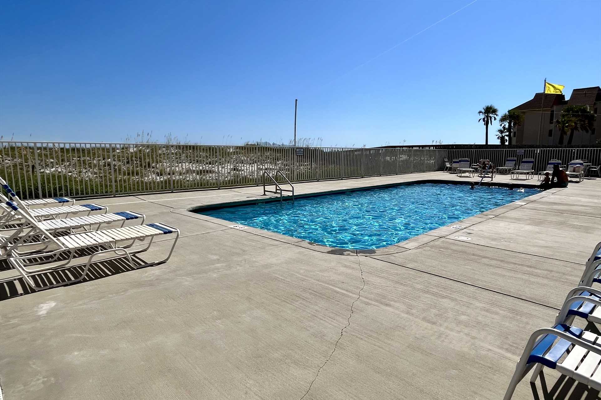 Pool and loungers available.
